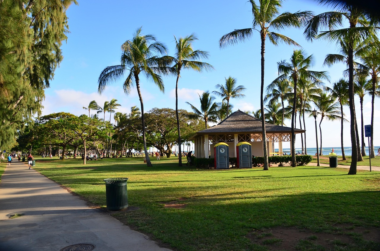 Palm trees leaning over a golden Hawaiian beach with turquoise water